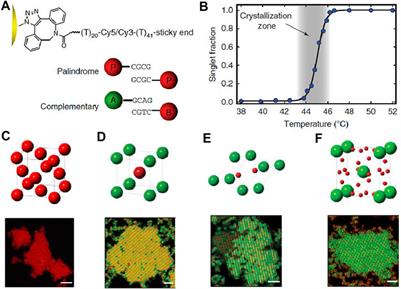 Programming Self-Assembled Materials With DNA-Coated Colloids